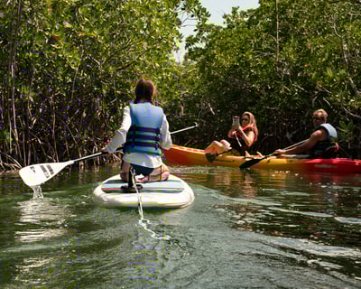 Key West Mangrove Kayak Tour With Sandbar Stop
