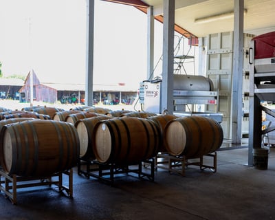 Vineyard Cruise & Wine Tasting in Duck