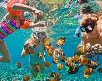 4-Hour Fort Myers Reef Snorkeling Tour