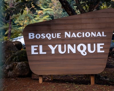 El Yunque Wheelchair-Accessible Guided Bus Tour