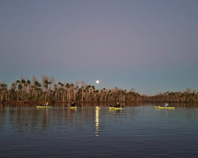 Full Moon Kayaking Tour on Chassahowitzka River