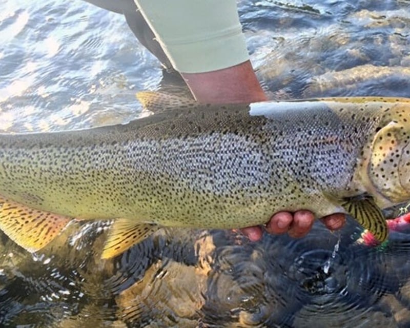 Intro to Fly Fishing Lesson in Roslyn, WA