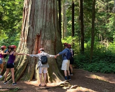 3-Hour Guided Bike Tour of Stanley Park