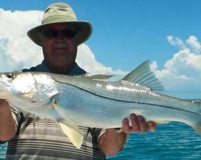 Explore Everglades National Park on an 8-Hour Fishing Charter