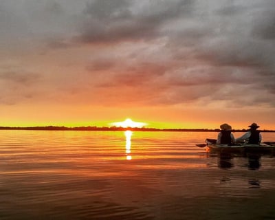 Early Morning Guided Kayak Tour in Cape Coral