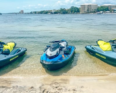 Guided Jet Ski Dolphin Tour on the Emerald Coast