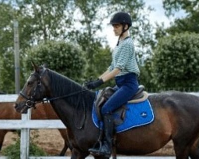 Private Horse Riding Lesson in McClellanville
