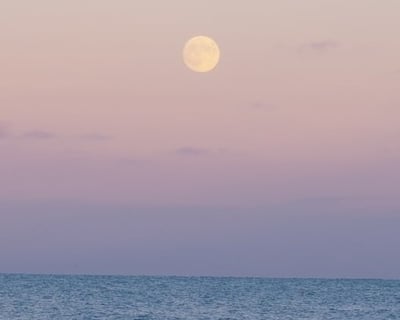 Moonlight Cruise Boat Tour in Charleston