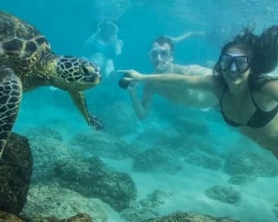 Waikoloa Snorkeling: Canoe to Turtle Alley