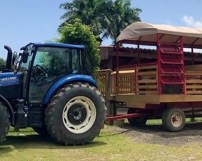 El Yunque 1.5-Hour Rainforest Hayride
