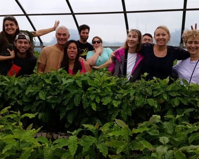 Coffee Brewing Class & Orchard Walk in Kalaheo
