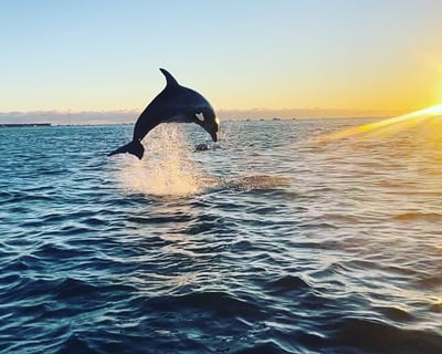 Key West Sunset Charter