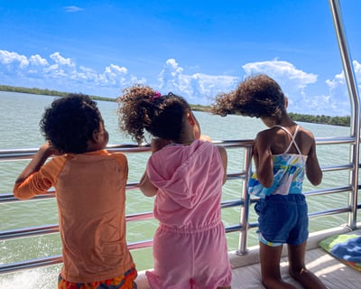 Private Wildlife & Shelling Tour on Marco Island