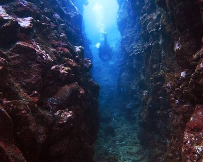 Hilo Remote Reef Ridge 2-Tank Boat Dive
