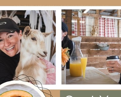 Goat Yoga Brunch in Glen Allen