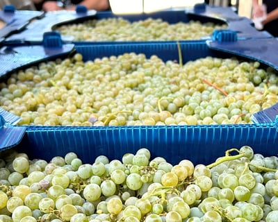 Brooklyn Harvest Winery Tour & Tasting