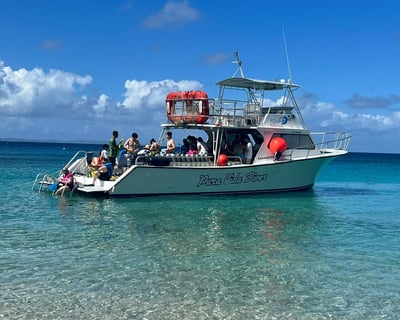 Guided 6-Hour Snorkeling Tour of Culebra
