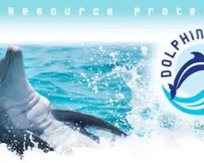 2-Hour Dolphin Tour in Homosassa