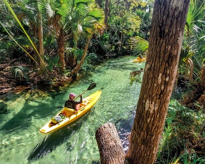 VIP 2.5-Hour Kayak Tour at King’s Landing