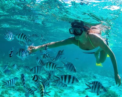 4-Hour Island Tour in Islamorada