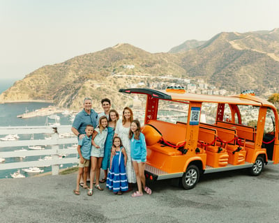 90-Minute Guided Golf Cart Tour of Avalon