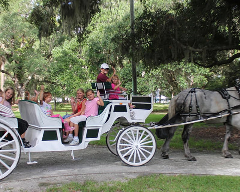 Jekyll Island Daytime Carriage Tour