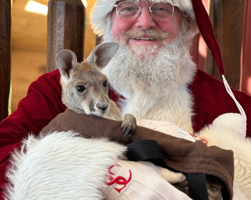 Santa Visit with Live Reindeer in Ira Township, MI