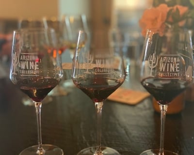 Guided Wine Tasting Tour in Tucson With Lunch