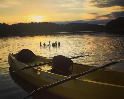 4-Hour Lake Keowee Paddle with Gear Included