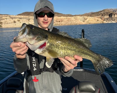 Fish Lake Mead With a Guided Charter Near Hoover Dam