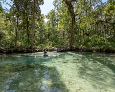 Crystal Springs Kayaking with Wildlife Viewing