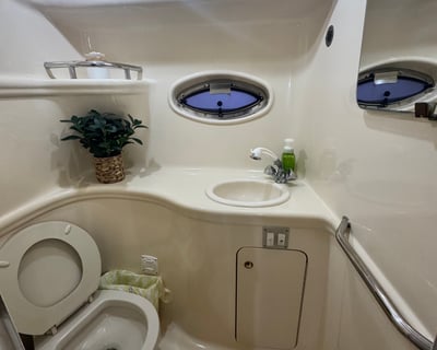 32' Sea Ray Boat Rental in Fort Lauderdale