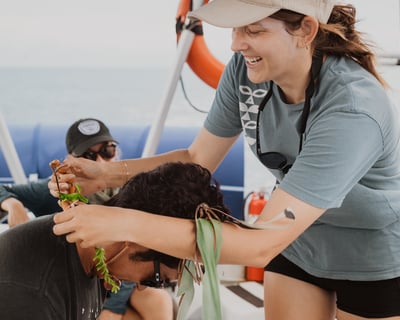 Eco-Raft Hawaiian Cultural and Whale Tour