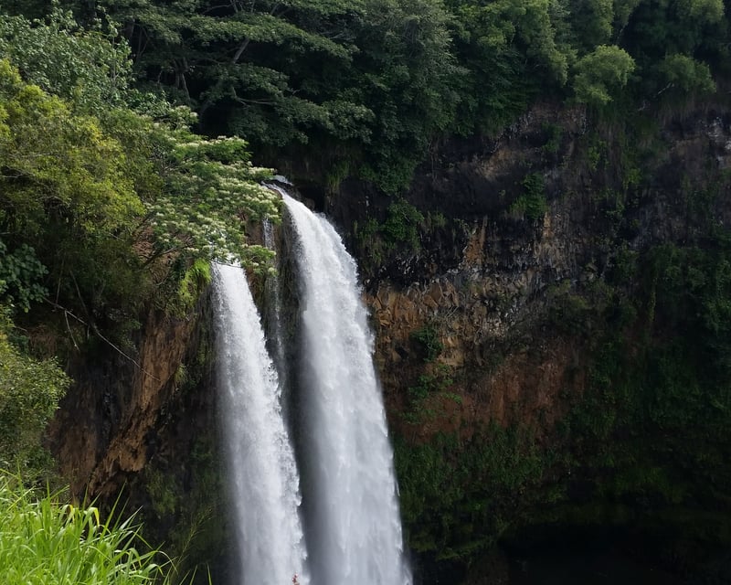Private North Shore & Waterfalls Tour