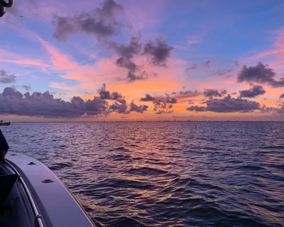 Galveston Bay Sunset Cruise with Dolphin Watching