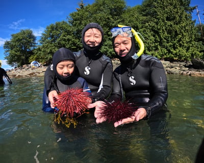 3-Hour Guided Snorkeling Tour in Ketchikan