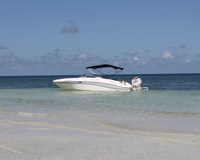 4-Hour Private Sandbar Charter in Marathon