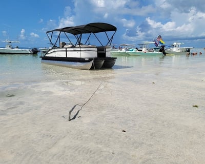 4-Hour Key West Sandbar & Snorkel Boat Charter