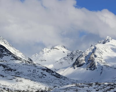 Explore White Pass on a 2-Hour Scenic Tour in Skagway