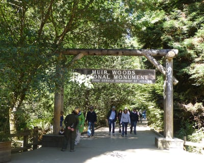 Muir Woods and Sausalito Tour from Fisherman's Wharf