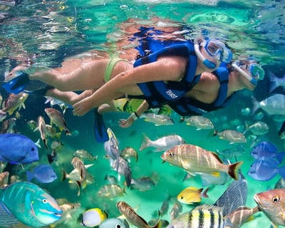 Snorkeling Tour of Montego Bay Reefs