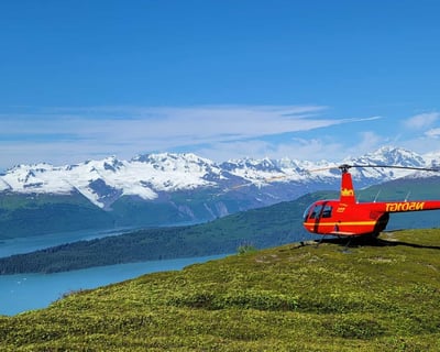 Fly a Helicopter Tour Over Knik Glacier From Palmer