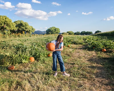 Explore Dewey Pumpkin Fest & Corn Maze
