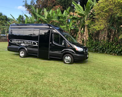 Private Luxury Road to Hana Tour by Platinum Minibus