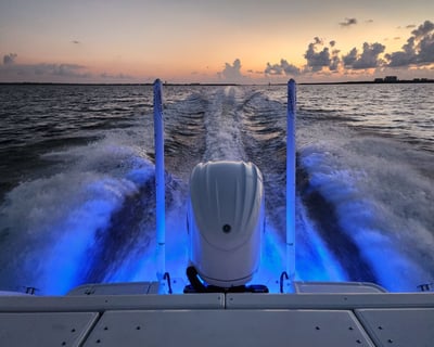 Night Cruise in Fort Myers