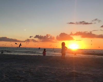 Marco Island Dolphin & Sunset Boat Tour