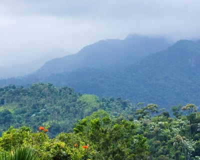 San Juan Rainforest Waterslide Tour