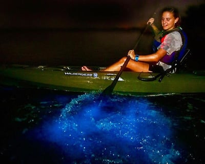 Bioluminescence Kayak Tour on Indian River Lagoon