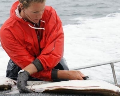 Seward Halibut & Salmon Fishing Charter