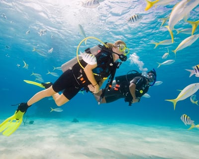 1-Day Scuba Diver Certification Course in Miami Beach